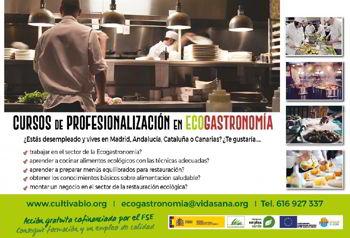 Curso gratuito en Madrid de Ecogastronomía