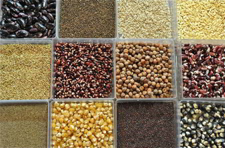 Obtención, selección y conservación de semillas
