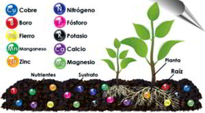 Nutrientes del suelo