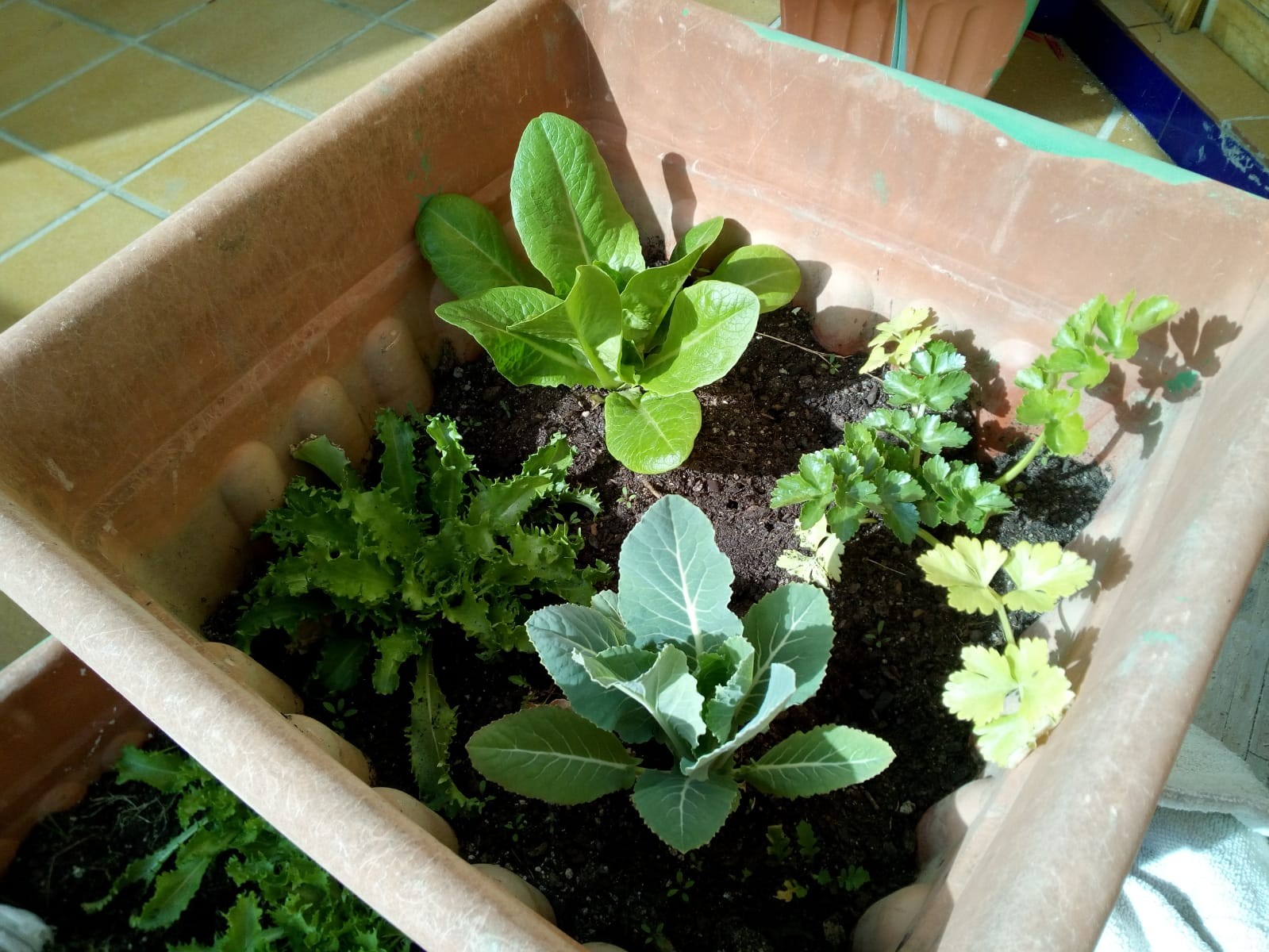 https://huerto.eco/media/com_easysocial/photos/31/31/whatsapp-image-2019-02-19-at-10-58-18-jpeg_original.jpg